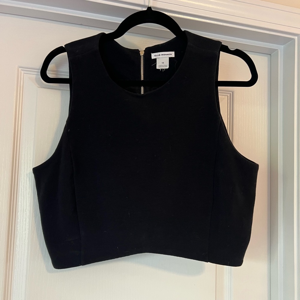 Club Monaco Ribbed Crop Top
